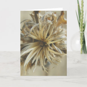 Dried Flower Note Kaart