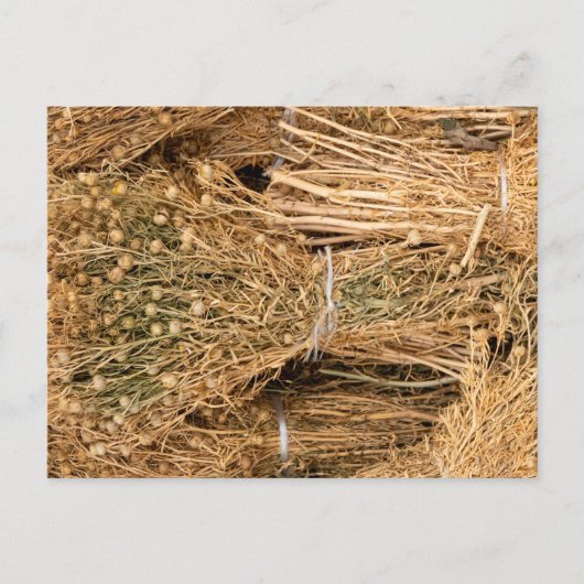 Dried Harmal Briefkaart (Voorkant)