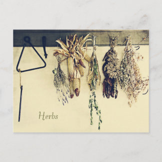 Dried herbs rustic country still life briefkaart