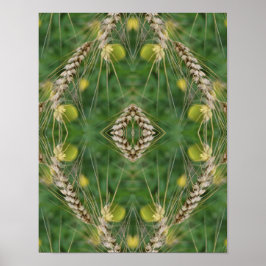 Dried Summer Grass Mirror Abstract Poster