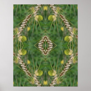 Dried Summer Grass Mirror Abstract Poster