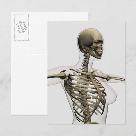 Driedimensionaal Uitzicht van de ribkooi van het V Briefkaart (Voorkant / Achterkant)