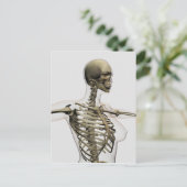 Driedimensionaal Uitzicht van de ribkooi van het V Briefkaart (Staand voorkant)