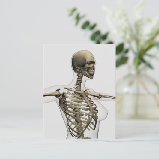 Driedimensionaal Uitzicht van de ribkooi van het V Briefkaart (Staand voorkant)