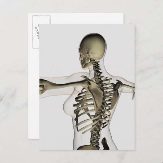 Driedimensionaal Uitzicht van het Vrouw bovenaan Briefkaart (Voorkant / Achterkant)