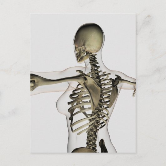 Driedimensionaal Uitzicht van het Vrouw bovenaan Briefkaart (Voorkant)