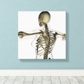 Driedimensionaal Uitzicht van het Vrouw bovenaan Canvas Afdruk (Insitu (Houten vloer))