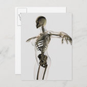Driedimensionaal Uitzicht van het Vrouw skeletsyst Briefkaart (Voorkant / Achterkant)