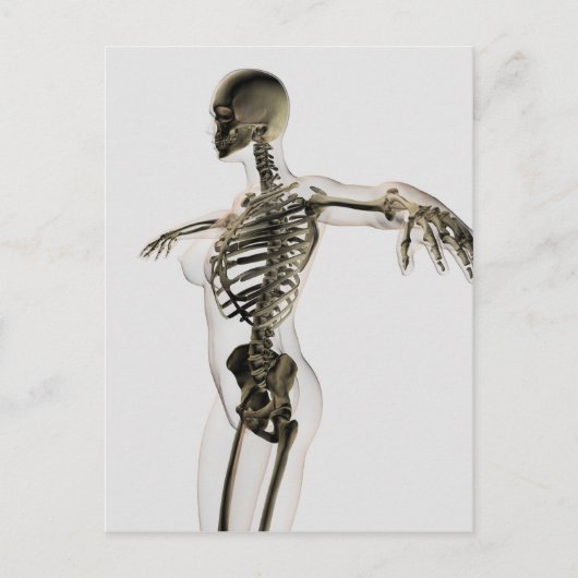 Driedimensionaal Uitzicht van het Vrouw skeletsyst Briefkaart (Voorkant)