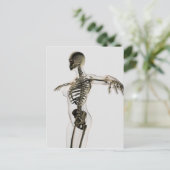 Driedimensionaal Uitzicht van het Vrouw skeletsyst Briefkaart (Staand voorkant)
