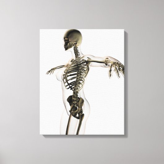 Driedimensionaal Uitzicht van het Vrouw skeletsyst Canvas Afdruk (Voorkant)