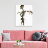 Driedimensionaal Uitzicht van het Vrouw skeletsyst Canvas Afdruk (Insitu (Woonkamer))