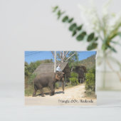 Driehoek d'Or, Thailand Briefkaart (Staand voorkant)