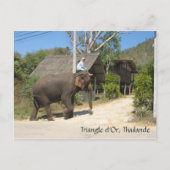 Driehoek d'Or, Thailand Briefkaart (Voorkant)