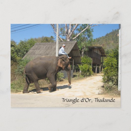 Driehoek d'Or, Thailand Briefkaart (Voorkant)