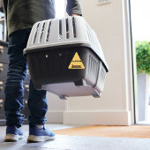 Driehoeksstickers van het Skateboard dachshund Sticker