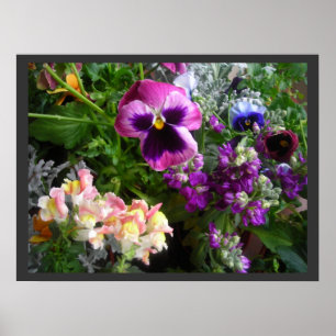 Driehoornig viooltje en vrienden Poster