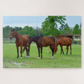 Driekleppige paarden legpuzzel (Horizontaal)