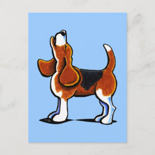 Driekleurenbaai Briefkaart