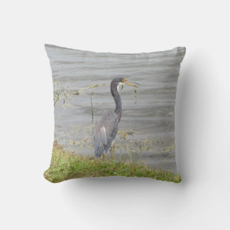 Driekleurenreiger Wildlife fotografie Kussen