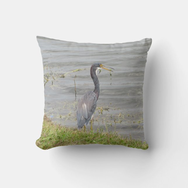 Driekleurenreiger Wildlife fotografie  Kussen (Voorkant)