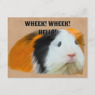 driekleurig cavia briefkaart