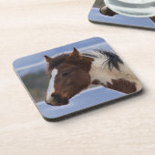 driekleurig paard bier onderzetter (Linkerzijde)