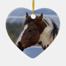 driekleurig paard