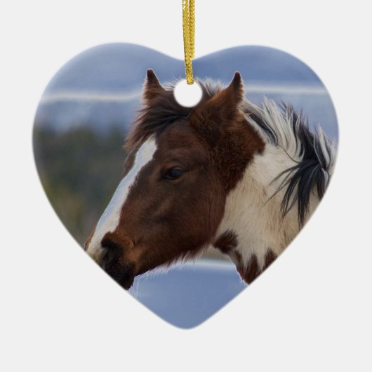 driekleurig paard keramisch ornament (Voorkant)