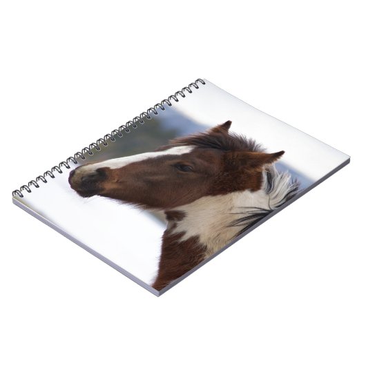 driekleurig paard notitieboek (Linkerzijde)