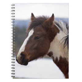 driekleurig paard notitieboek