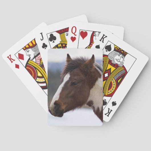 driekleurig paard pokerkaarten (Achterkant)