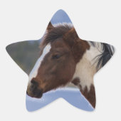 driekleurig paard ster sticker (Voorkant)