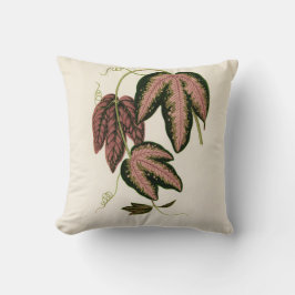 Driekleurig passie (Passiflora Trifasciata) Kussen