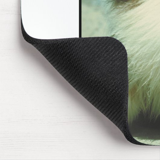 Driekleurig ruw kat met collie muismat (Hoek)