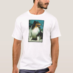 Driekleurig ruw kat met collie t-shirt