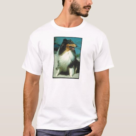 Driekleurig ruw kat met collie t-shirt (Voorkant)