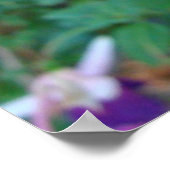 Driekleurige bellen poster (Hoek)