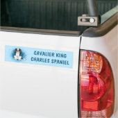Driekleurige Cavalier King Charles Spaniel Hond Op Bumpersticker (Op Truck)