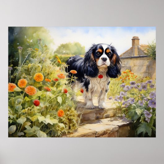 Driekleurige Cavalier King Charles Spaniel Poster (Voorkant)