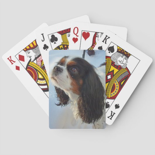 Driekleurige Cavalier Spaniel-speelkaarten Pokerkaarten (Achterkant)