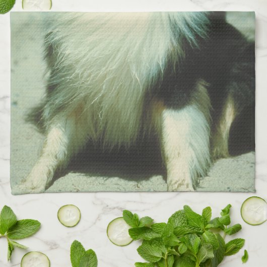 Driekleurige Collie Dog Kitchen Towel Theedoek (Gevouwen)