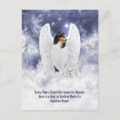 Driekleurige Collie Engel & Cherub - Troost bij he Briefkaart (Voorkant)