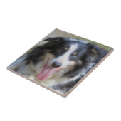 Driekleurige grens Collie Animal Tegeltje (Zijkant)