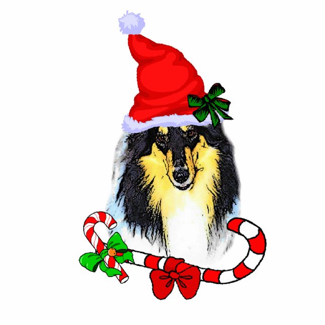 Driekleurige kerstcadeautjes voor Collie Fotobeeldje Ornament (Voorkant)