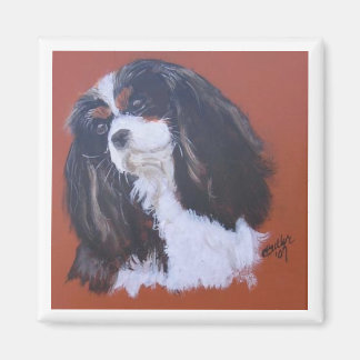 Driekleurige King Charles Cavalier Magnet
