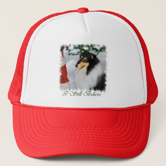 Driekleurige, ongekende kerstcadeautjes voor kerst trucker pet (Voorkant)