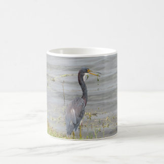 Driekleurige Reiger Natuurfotografie Koffiemok