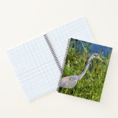 Driekleurige Reiger Wadend in het Moeras Notitieboek (Binnen)