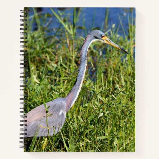 Driekleurige Reiger Wadend in het Moeras Notitieboek (Voorkant)